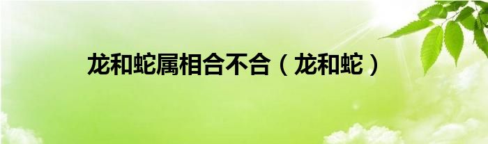 龙和蛇属相合不合（龙和蛇）