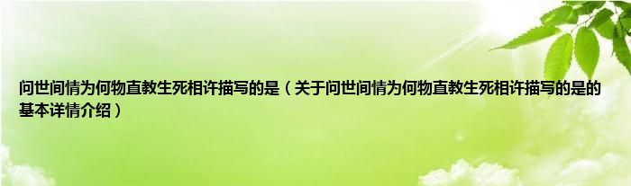 问世间情为何物直教生死相许描写的是（关于问世间情为何物直教生死相许描写的是的基本详情介绍）