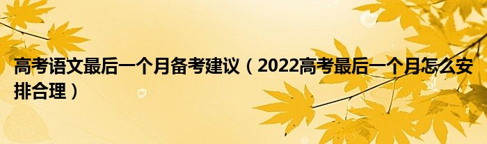 高考语文最后一个月备考建议（2022高考最后一个月怎么安排合理）