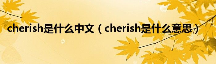 cherish是什么中文（cherish是什么意思）