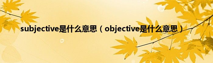 subjective是什么意思(objective是什么意思)