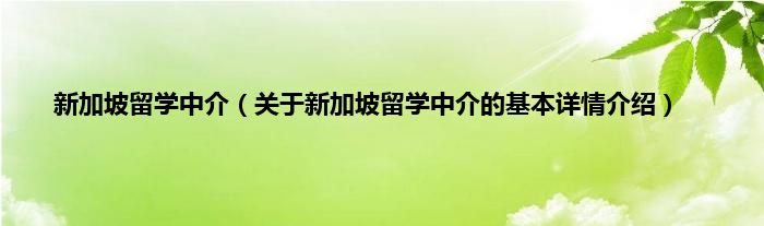 新加坡留学中介（关于新加坡留学中介的基本详情介绍）