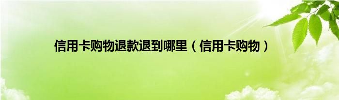 信用卡购物退款退到哪里（信用卡购物）