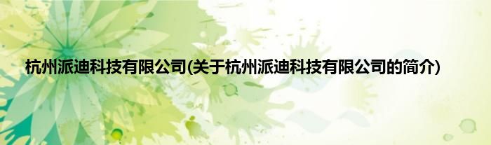 杭州派迪科技有限公司(关于杭州派迪科技有限公司的简介)