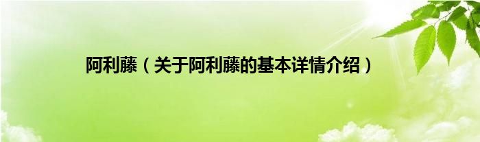 阿利藤（关于阿利藤的基本详情介绍）