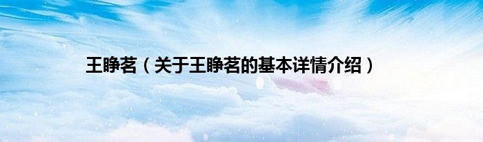王睁茗（关于王睁茗的基本详情介绍）