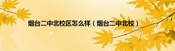 烟台二中北校区怎么样（烟台二中北校）