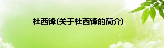 杜西锋(关于杜西锋的简介)