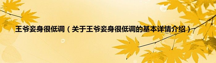 王爷妾身很低调（关于王爷妾身很低调的基本详情介绍）