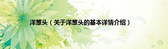 洋葱头（关于洋葱头的基本详情介绍）