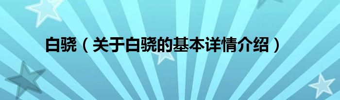 白骁（关于白骁的基本详情介绍）