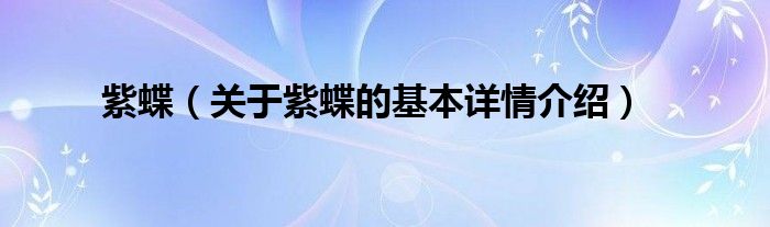 紫蝶(关于紫蝶的基本详情介绍)