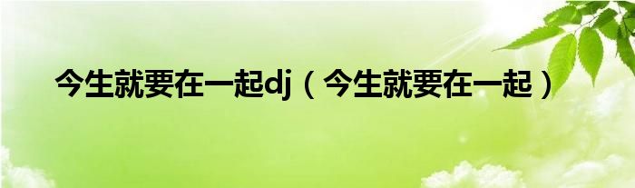 今生就要在一起dj（今生就要在一起）