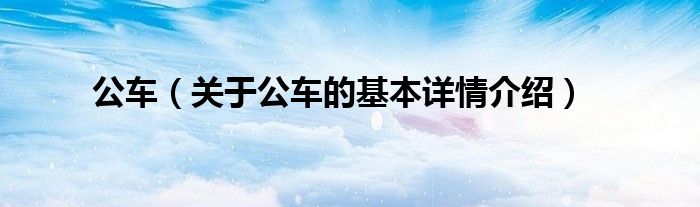 公车(关于公车的基本详情介绍)