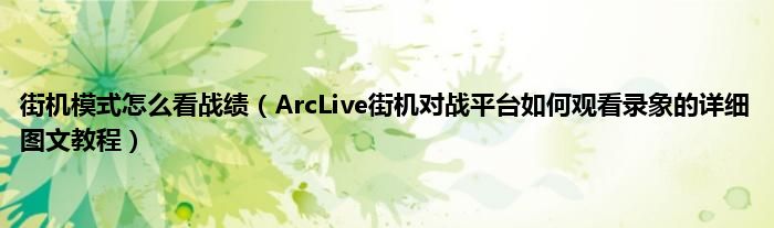 街机模式怎么看战绩（ArcLive街机对战平台如何观看录象的详细图文教程）