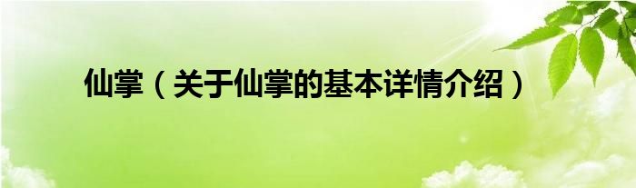 仙掌（关于仙掌的基本详情介绍）