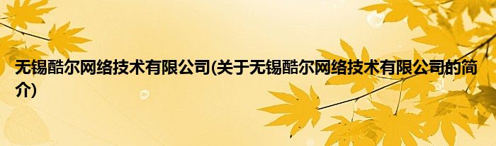 无锡酷尔网络技术有限公司(关于无锡酷尔网络技术有限公司的简介)