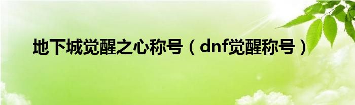 地下城觉醒之心称号（dnf觉醒称号）