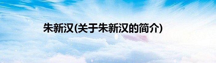 朱新汉(关于朱新汉的简介)