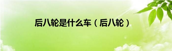 后八轮是什么车（后八轮）