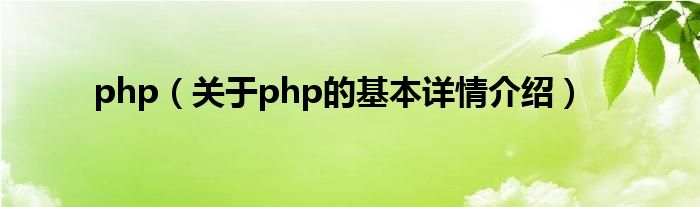 php（关于php的基本详情介绍）
