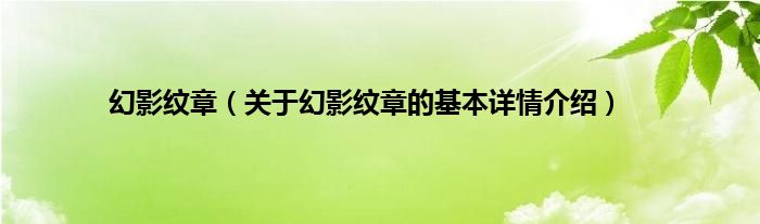幻影纹章(关于幻影纹章的基本详情介绍)