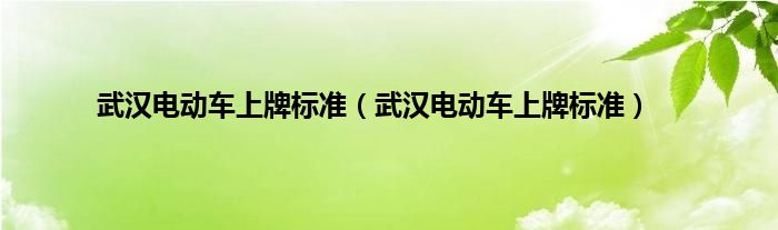 武汉电动车上牌标准（武汉电动车上牌标准）