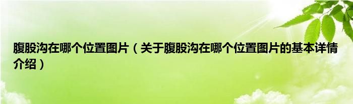 腹股沟在哪个位置图片（关于腹股沟在哪个位置图片的基本详情介绍）